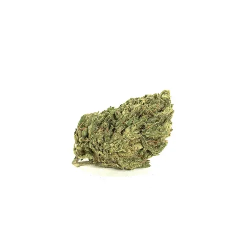 Biscotti 14g