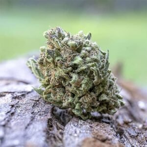 Gelonade 7.5g